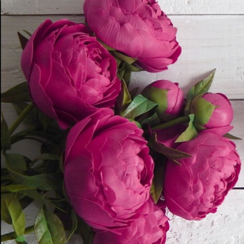 Meet your Posher, Khristina